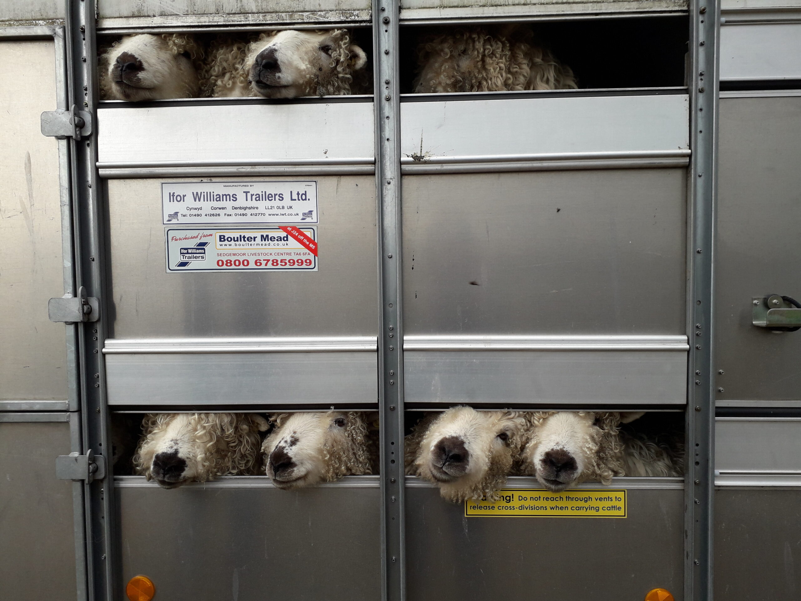 City & Guilds NPTC Animal Transport Assessment (0141)