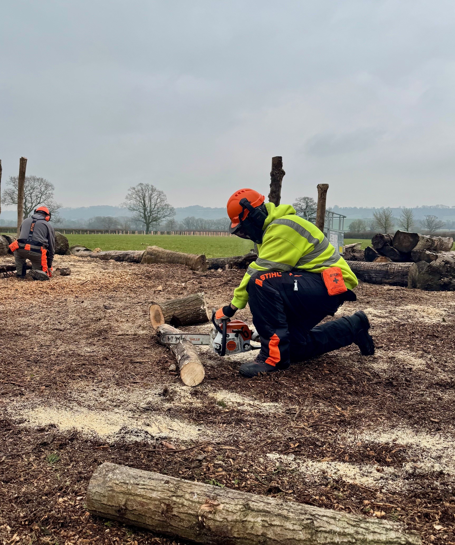 Level 2 Chainsaw Maintenance & Crosscutting Assessment