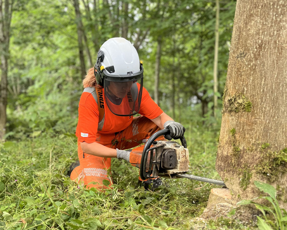 Level 2 Chainsaw Felling and Processing Trees up to 380mm Course with assessment [3.5 Days]