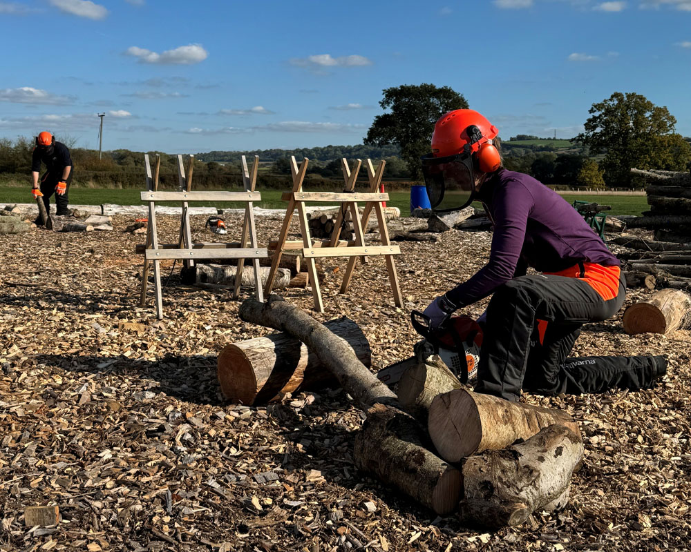 LANTRA Awards Chainsaw Maintenance & Crosscutting Refresher Course