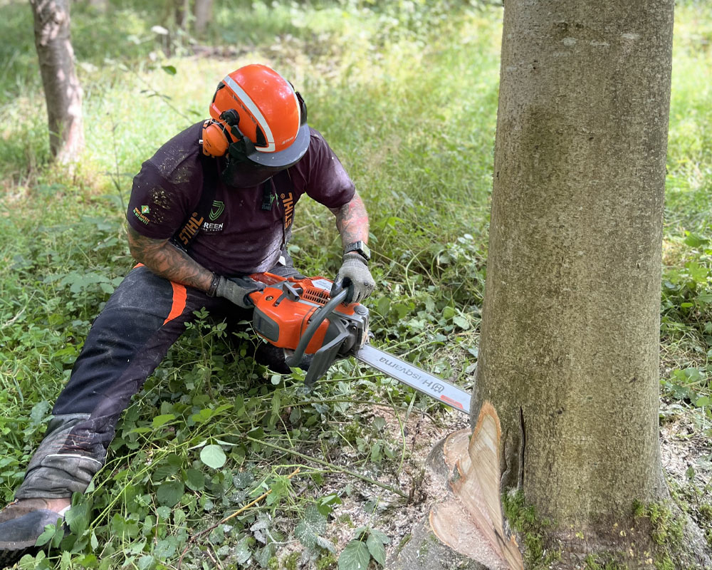 LANTRA Awards Felling & Processing of Trees up to 380mm Refresher Course