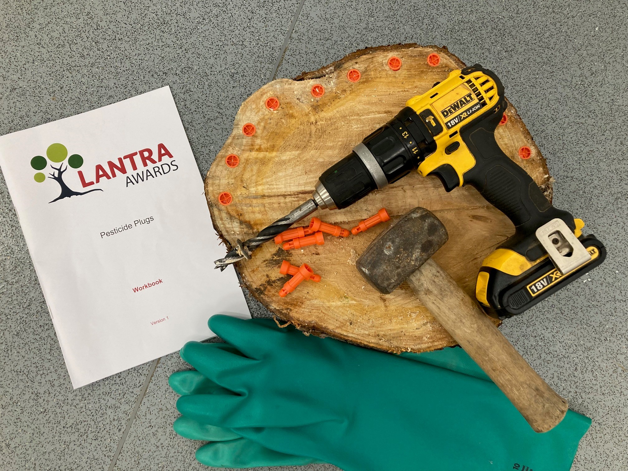 Level 2 PA6 Pesticide Plugs & PA6 Stem Injectors Course